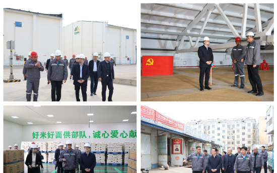 財(cái)金要聞│財(cái)金集團(tuán)黨委書(shū)記、董事長(zhǎng)安吉斌調(diào)研重點(diǎn)項(xiàng)目建設(shè)情況